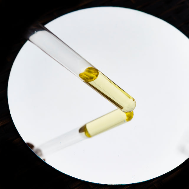 Imagen de Seaskin Life Imagen de Seaskin Life