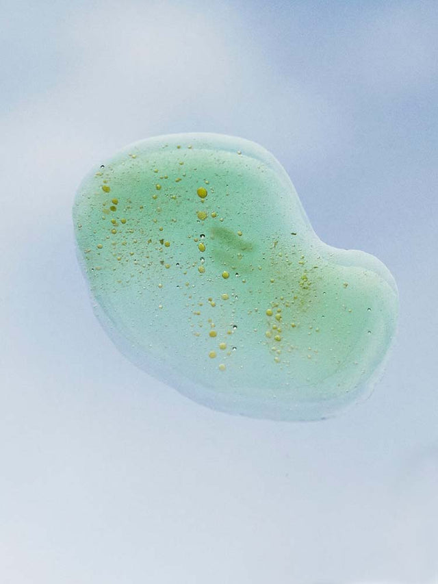 Imagen de Seaskin Life Imagen de Seaskin Life