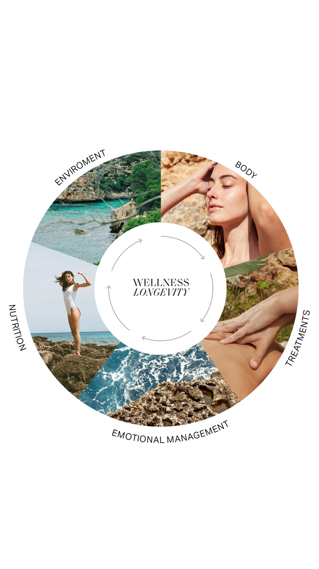 SeaSkin Life wellness and conscious longevity wheel: body, treatments, emotions, nutrition, and environment in balance. SeaSkin Life wellness and conscious longevity wheel: body, treatments, emotions, nutrition, and environment in balance.