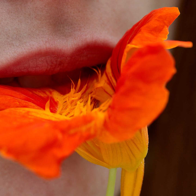 Shop the Look SeaSkin Life Shop the Look SeaSkin Life