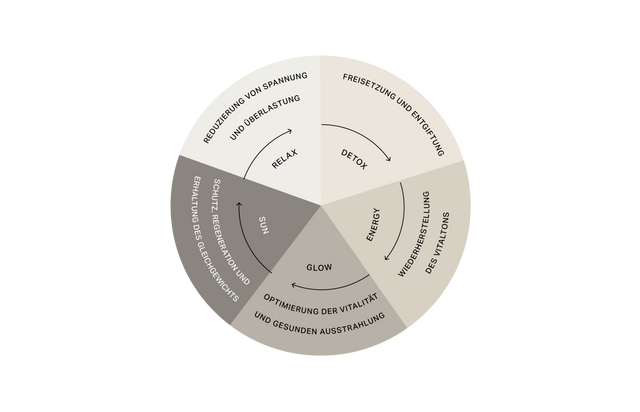 SeaSkin Life Rad für Wellness und bewusste Langlebigkeit, das einen Pflegezyklus zeigt: Entspannung, Detox, Energie, Glow und Schutz für Balance und Vitalität. SeaSkin Life Rad für Wellness und bewusste Langlebigkeit, das einen Pflegezyklus zeigt: Entspannung, Detox, Energie, Glow und Schutz für Balance und Vitalität.