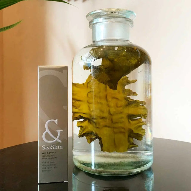Frasco de cristal grande con un alga marina entera y arrugada flotando en líquido, junto a una caja de sérum facial de la marca SeaSkin. El texto superpuesto en el cuadro describe el sérum como 'antioxidante, 100% orgánico con Vitis Vinifera, Gingko Biloba y Jalea Real'.
