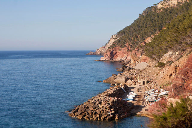 Imagen de Seaskin Life