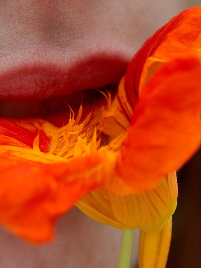 Labios sosteniendo una flor naranja vibrante.