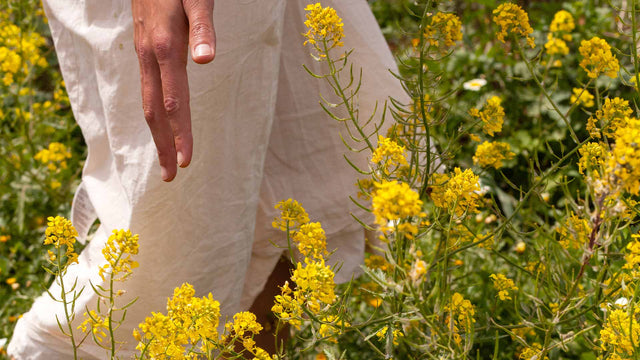 Mano cerca de flores amarillas en un campo, con una persona vestida de blanco en segundo plano, evocando naturaleza.