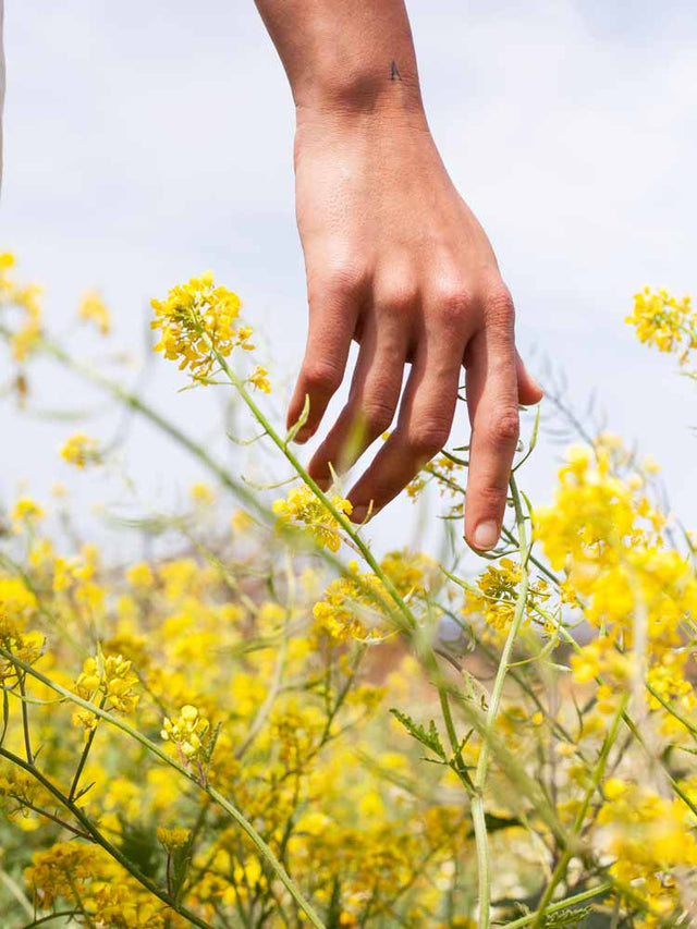 Mano cerca de flores amarillas en un campo, con una persona vestida de blanco en segundo plano, evocando naturaleza.