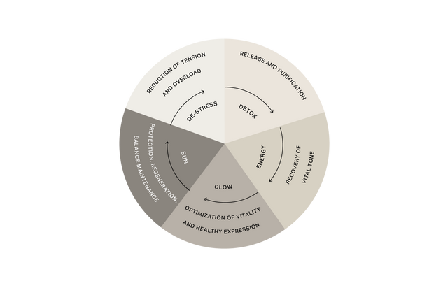 SeaSkin Life wellness and conscious longevity wheel illustrating a care cycle: de-stress, detox, energy, glow, and protection for balance and vitality.